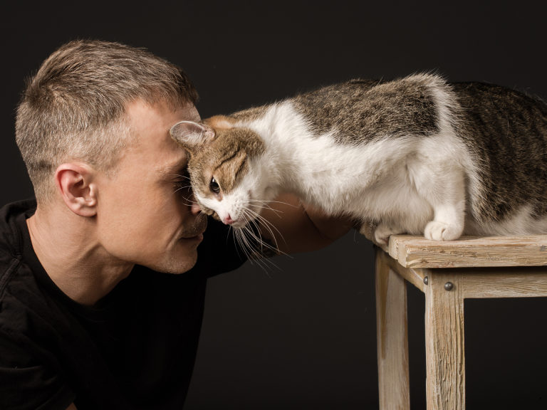 Los gatos maúllan más a los hombres y la explicación quizá te incomode un poco